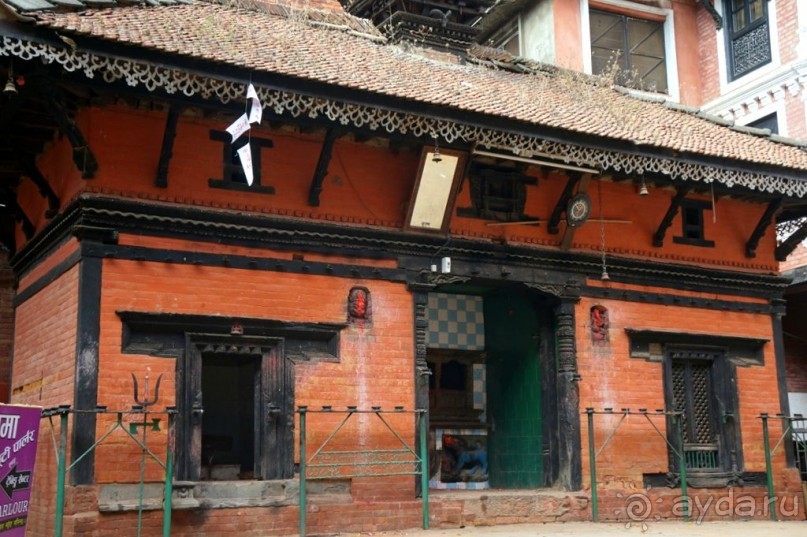 Мы  такого  не  видали  никогда.