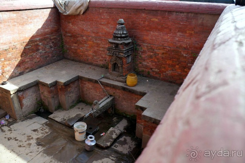 Мы  такого  не  видали  никогда.