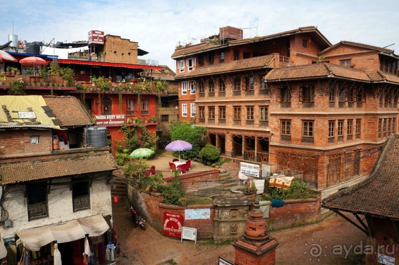 Мы  такого  не  видали  никогда.