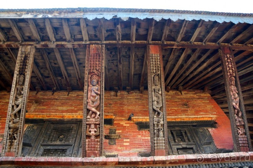 Мы  такого  не  видали  никогда.