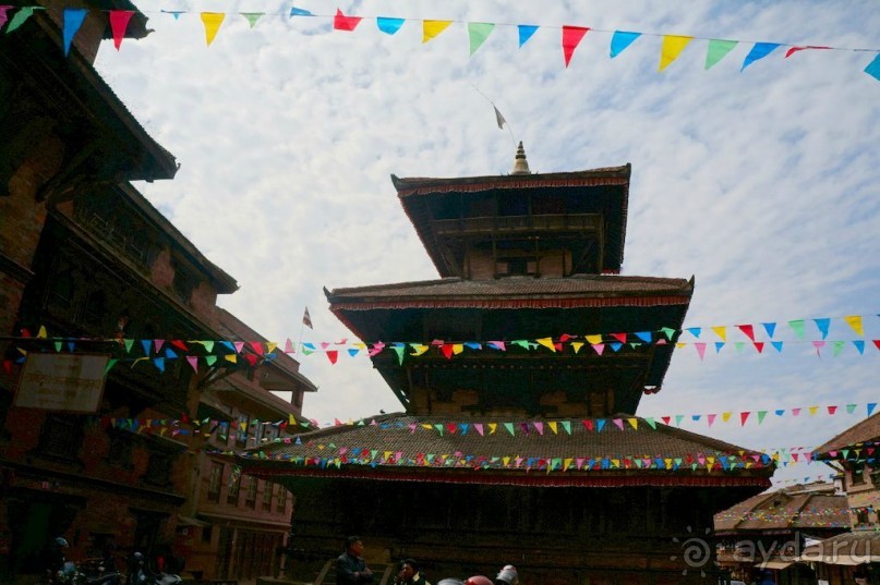 Мы  такого  не  видали  никогда.