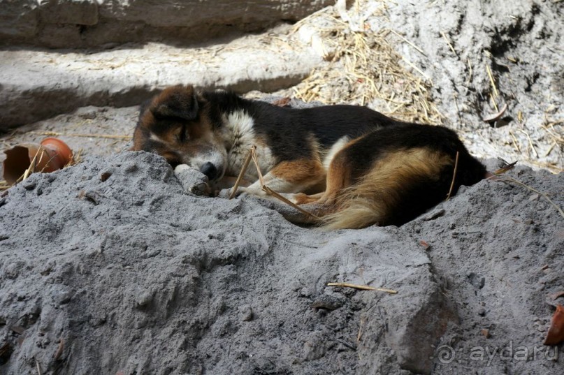 Мы  такого  не  видали  никогда.