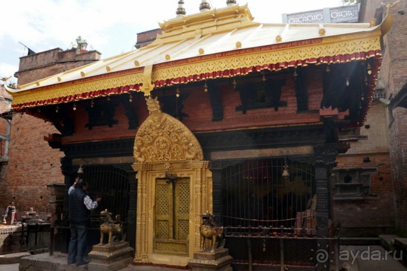 Мы  такого  не  видали  никогда.