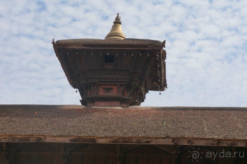 Мы  такого  не  видали  никогда.