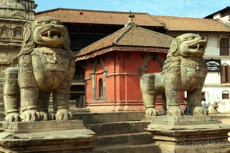 Мы  такого  не  видали  никогда.