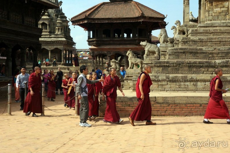 Мы  такого  не  видали  никогда.