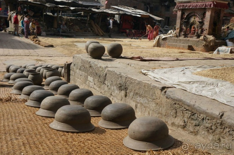 Мы  такого  не  видали  никогда.