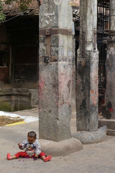 Мы  такого  не  видали  никогда.