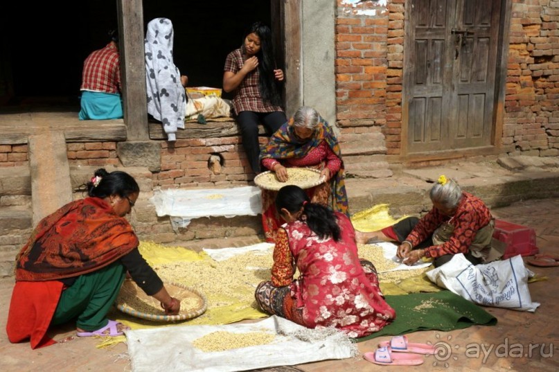 Мы  такого  не  видали  никогда.