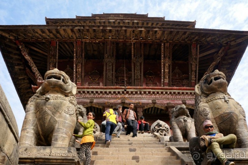 Мы  такого  не  видали  никогда.