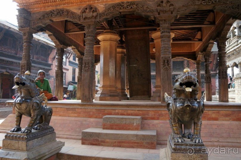 Мы  такого  не  видали  никогда.