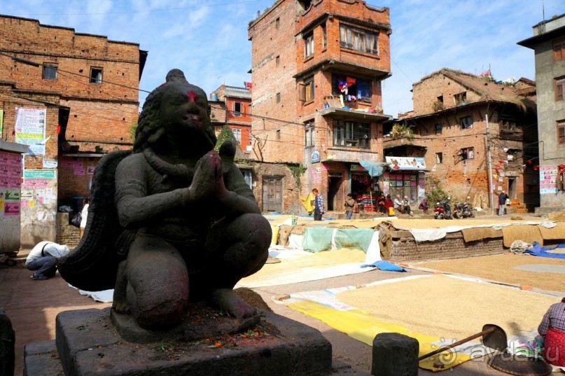 Мы  такого  не  видали  никогда.