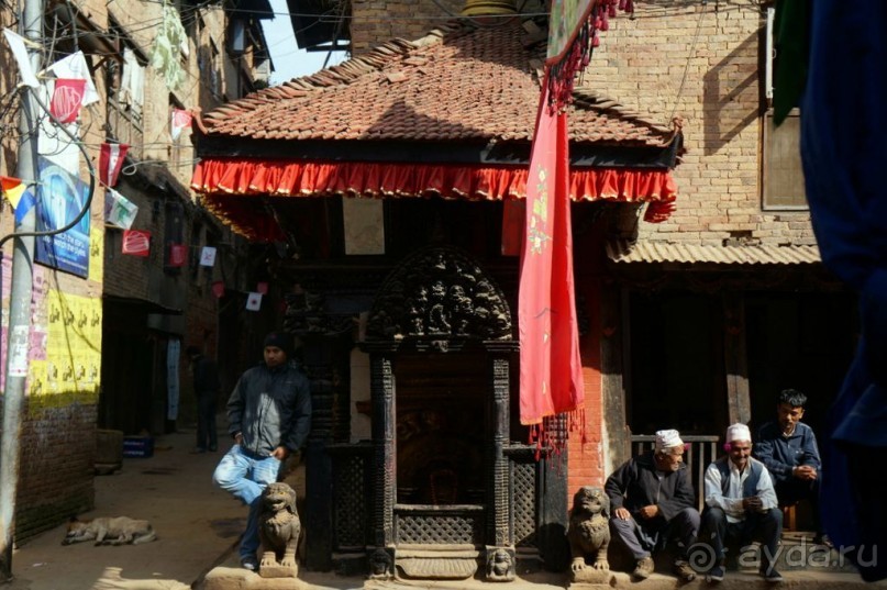 Мы  такого  не  видали  никогда.