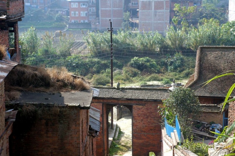 Мы  такого  не  видали  никогда.