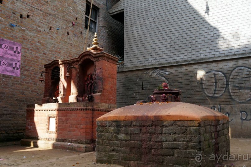 Мы  такого  не  видали  никогда.