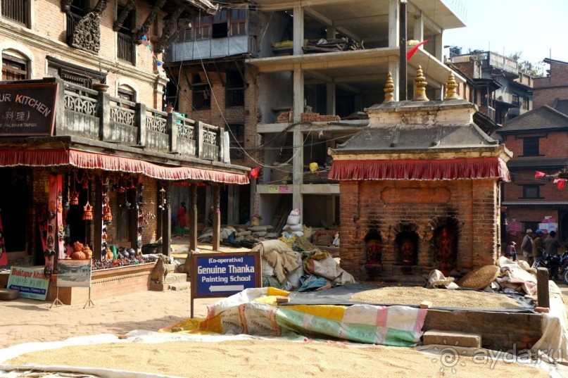 Мы  такого  не  видали  никогда.