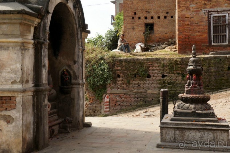 Мы  такого  не  видали  никогда.