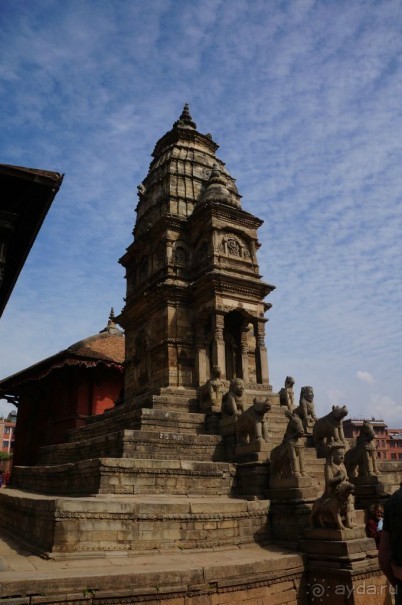 Мы  такого  не  видали  никогда.