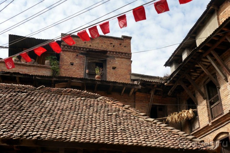 Мы  такого  не  видали  никогда.