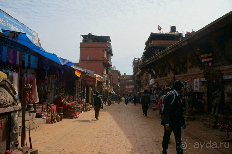 Мы  такого  не  видали  никогда.