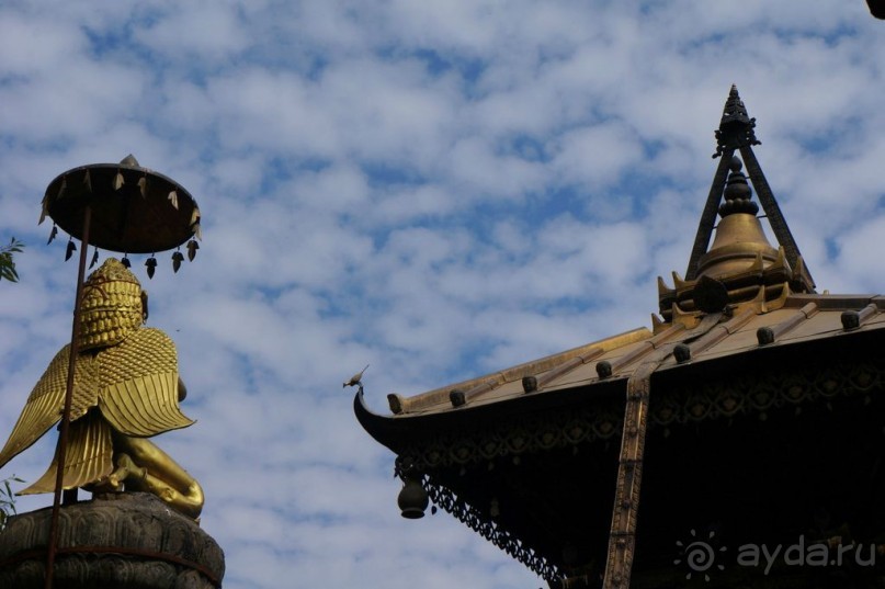 Мы  такого  не  видали  никогда.