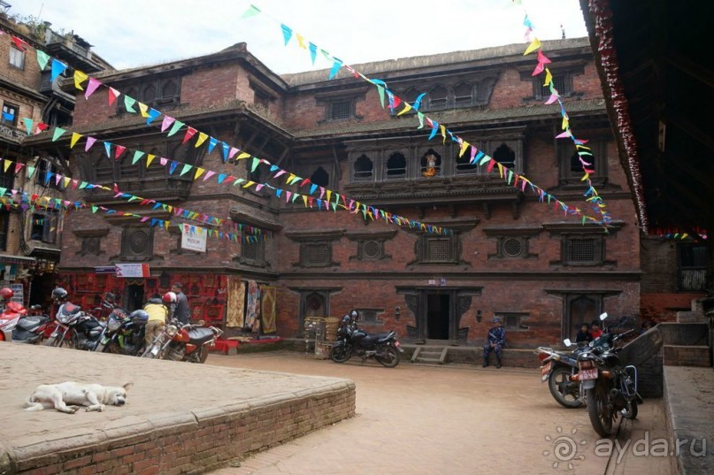 Мы  такого  не  видали  никогда.