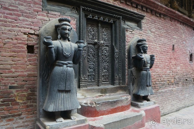 Мы  такого  не  видали  никогда.