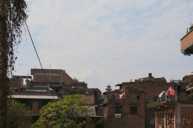 Мы  такого  не  видали  никогда.