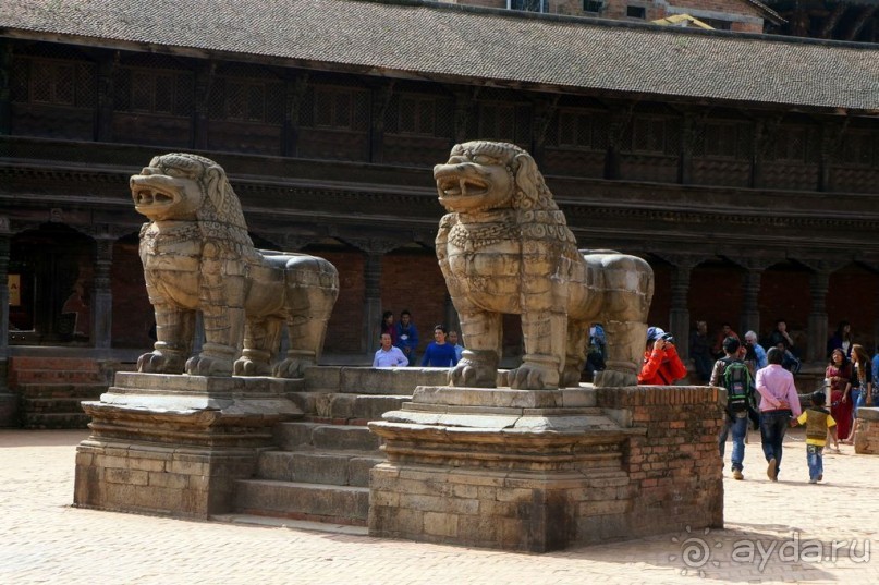 Мы  такого  не  видали  никогда.