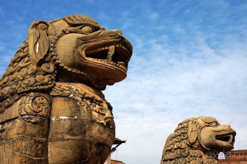 Мы  такого  не  видали  никогда.