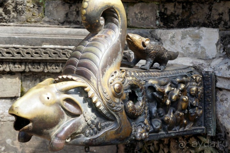 Мы  такого  не  видали  никогда.