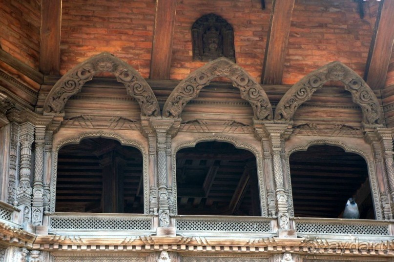 Мы  такого  не  видали  никогда.