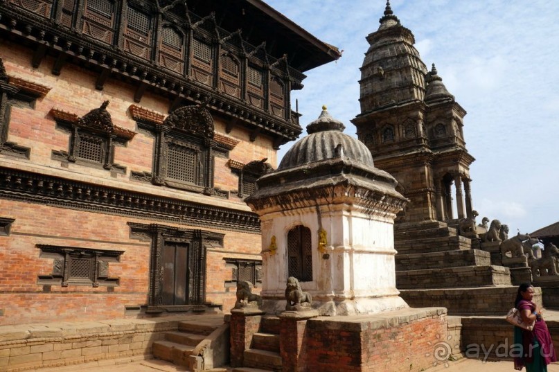 Мы  такого  не  видали  никогда.