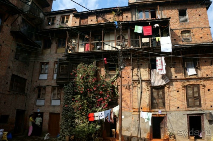 Мы  такого  не  видали  никогда.