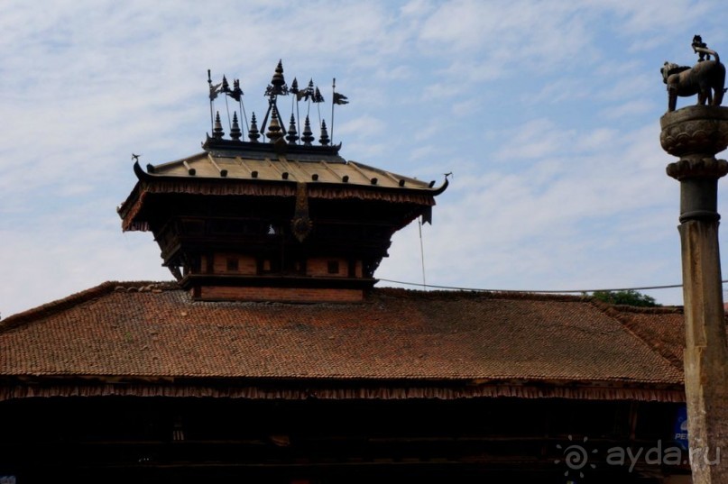 Мы  такого  не  видали  никогда.