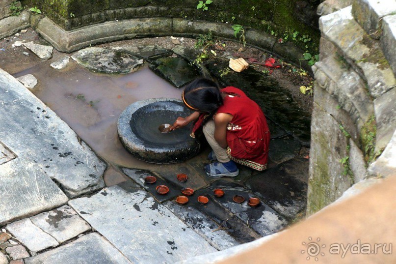 Мы  такого  не  видали  никогда.