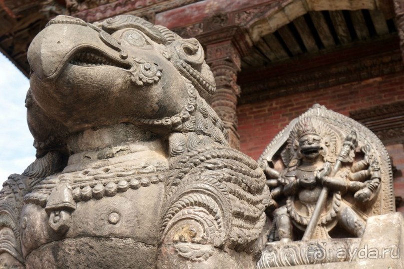 Мы  такого  не  видали  никогда.