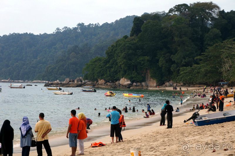 фото Пангкора