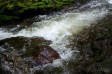 Трудно поверить, но можно проверить!