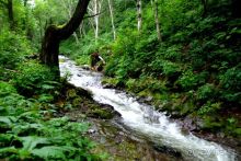 Трудно поверить, но можно проверить!