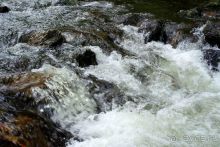 Трудно поверить, но можно проверить!