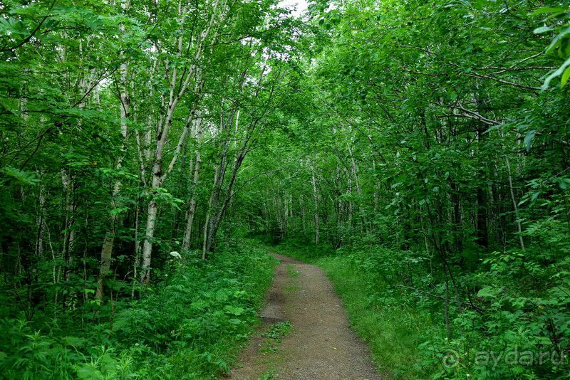 Трудно поверить, но можно проверить!