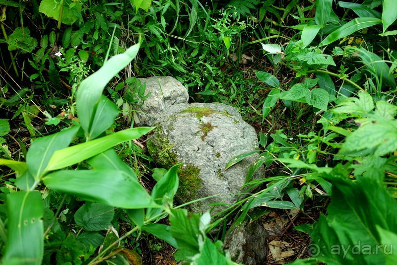 Трудно поверить, но можно проверить!