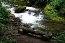 Трудно поверить, но можно проверить!