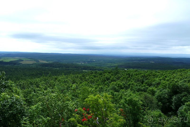 Трудно поверить, но можно проверить!