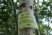 Трудно поверить, но можно проверить!