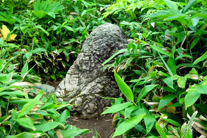 Трудно поверить, но можно проверить!