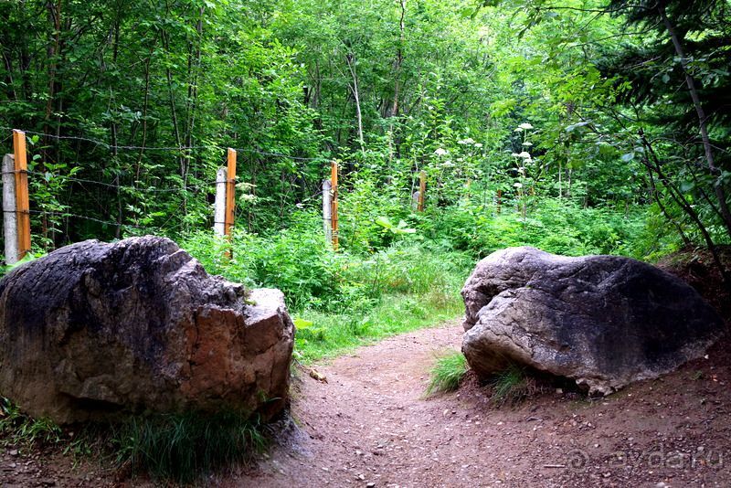 Трудно поверить, но можно проверить!