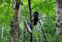 Трудно поверить, но можно проверить!