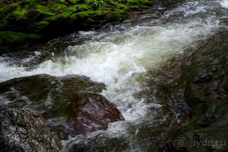 Трудно поверить, но можно проверить!